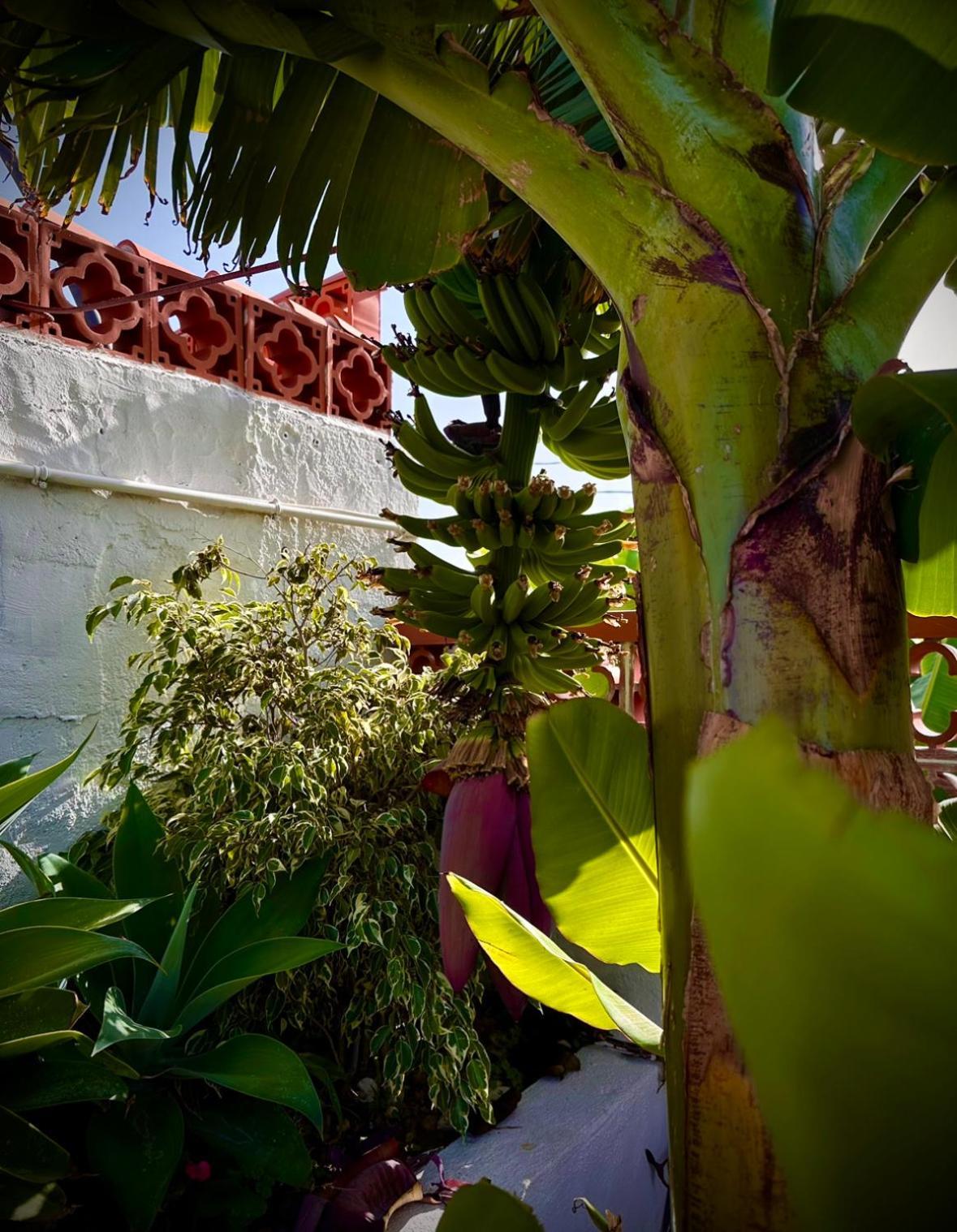 Casa Cucu Villa Tazacorte Exterior foto